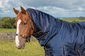 Thumbnail: Mackey Wicklow Detachable Neck 200g Turnout 