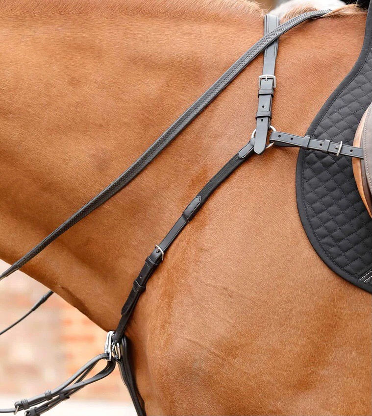 Thumbnail: PE Valbrona Performance Breastplate