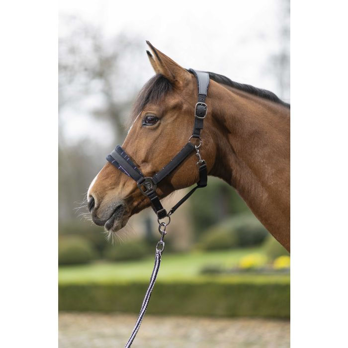 Thumbnail: HKM Head collar -Port Royal-