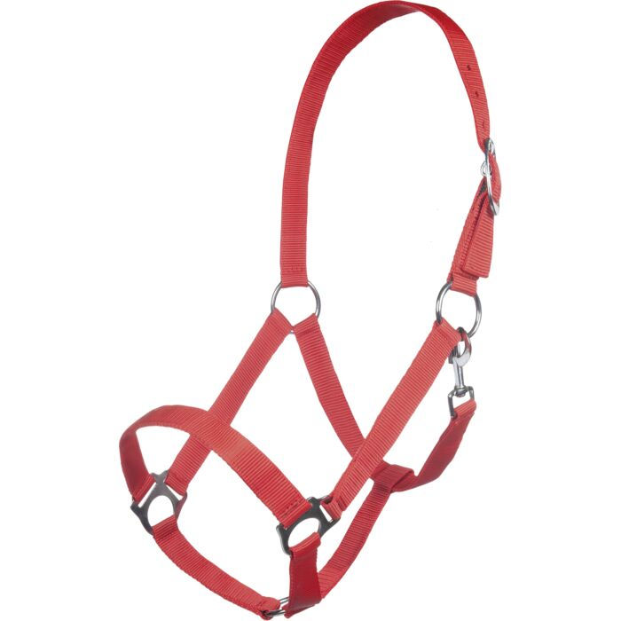 Thumbnail: HKM Head Collar -Innsbruck-