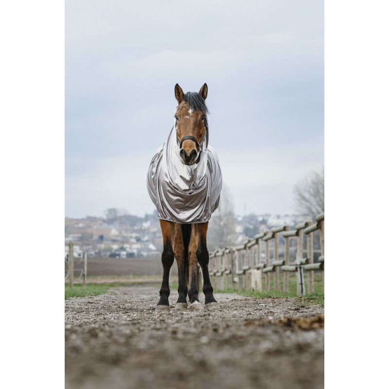 Thumbnail: RIDING WORLD"SWEET ITCH" SHEET