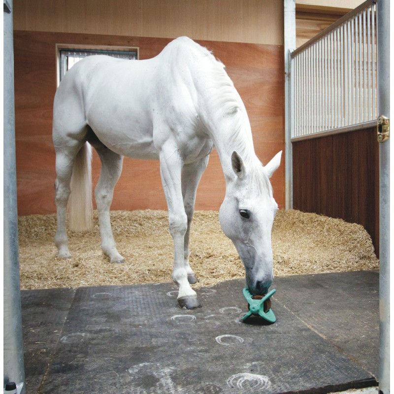 Thumbnail: Horse Treats