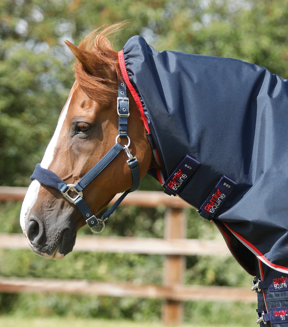 Thumbnail: PE Buster 50g Turnout Rug with Snug-Fit Neck Cover