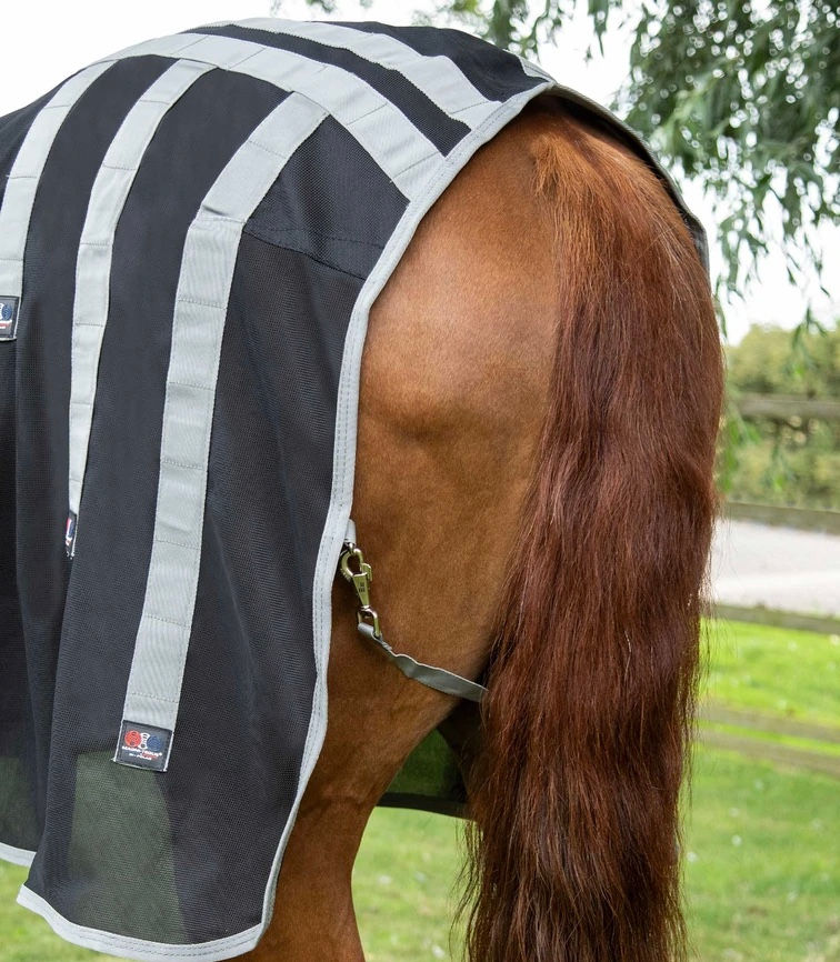 Thumbnail: PE Magni-Teque Magnetic Rug with Neck Cover