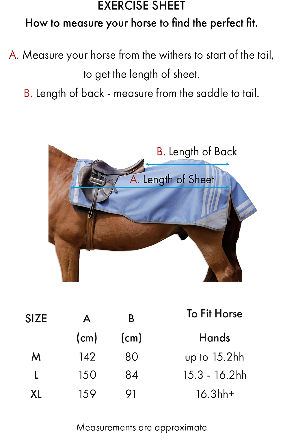 Thumbnail: PE Stratus Horse Exercise Sheet 