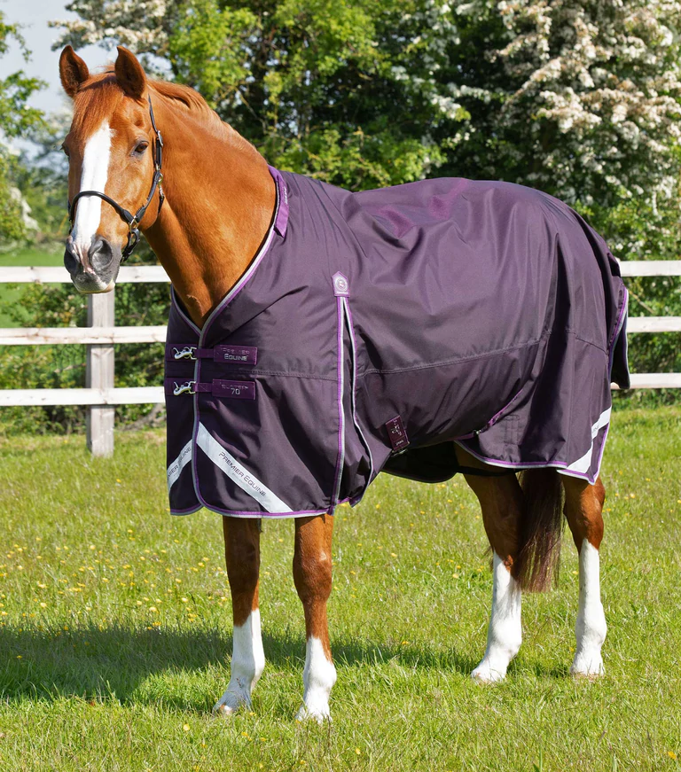 Thumbnail: PE Buster 70g Turnout Rug with Classic Neck Cover