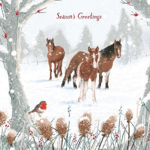 Christmas Cards: Winter Friends
