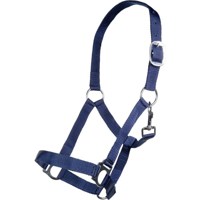 Thumbnail: HKM Head Collar -Brisbane-