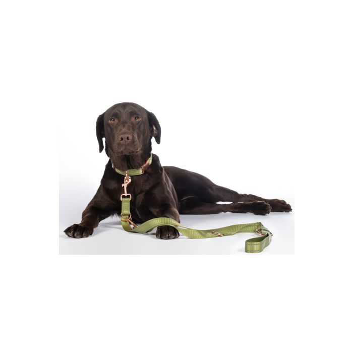 Thumbnail: HKM Dog Training Leash -Qooper- Nylon