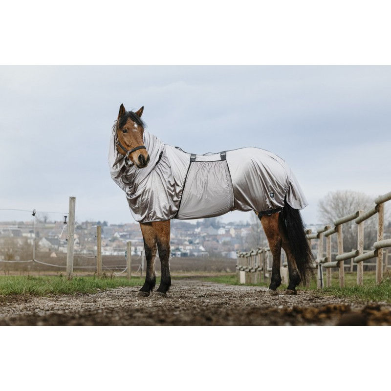 Thumbnail: RIDING WORLD"SWEET ITCH" SHEET