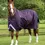 Thumbnail: PE Buster Hardy 100g Half Neck Turnout Rug