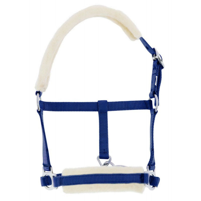 Thumbnail: RIDING WORLD FOAL HEADCOLLAR