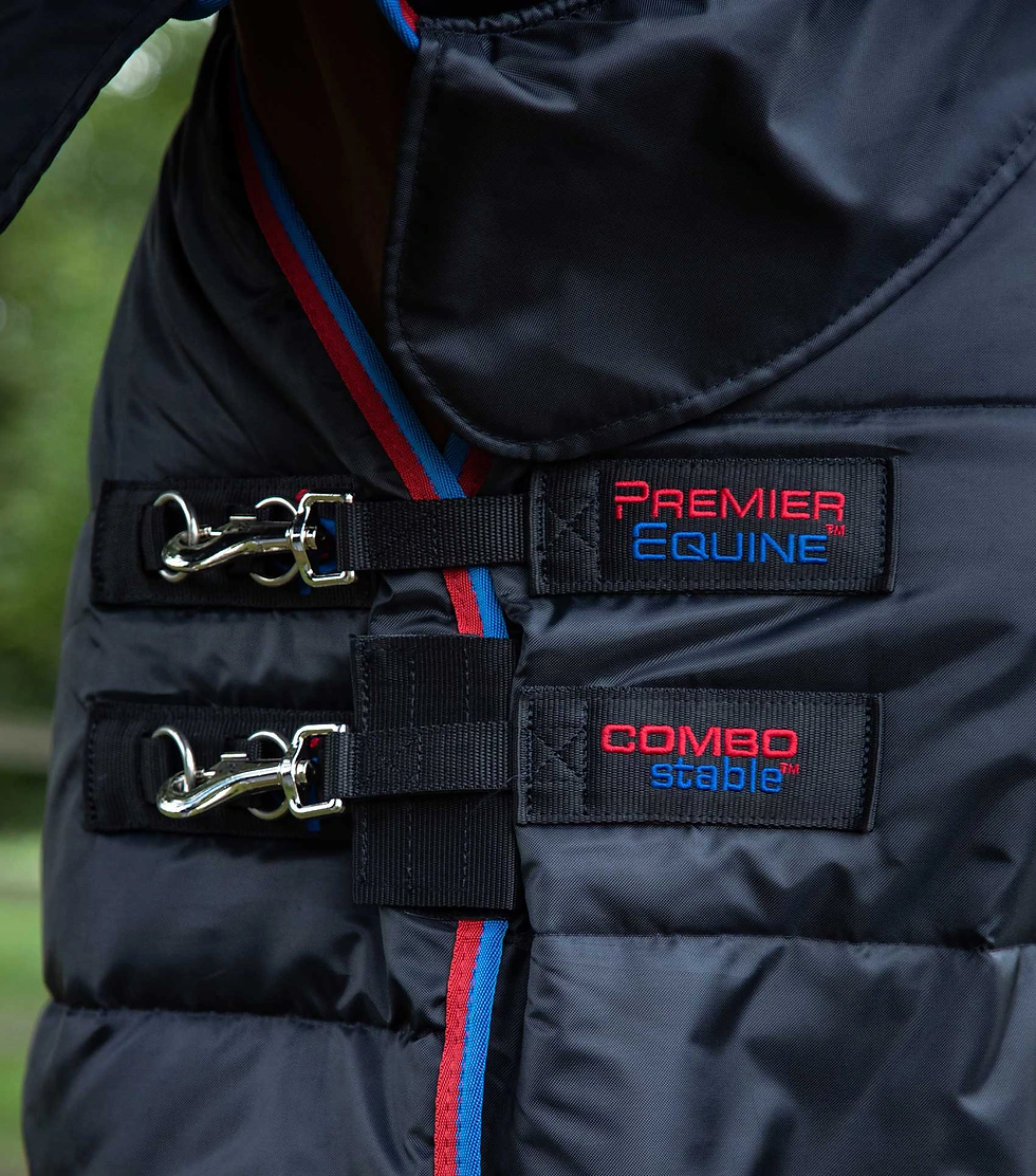 Thumbnail: PE Combo Stable Rug 200g