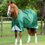 Thumbnail: PE Akoni 0g Original Turnout Rug