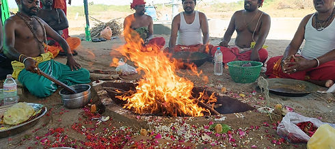 WhatsApp Image 2025-01-01 at 14.29.17.jpeg