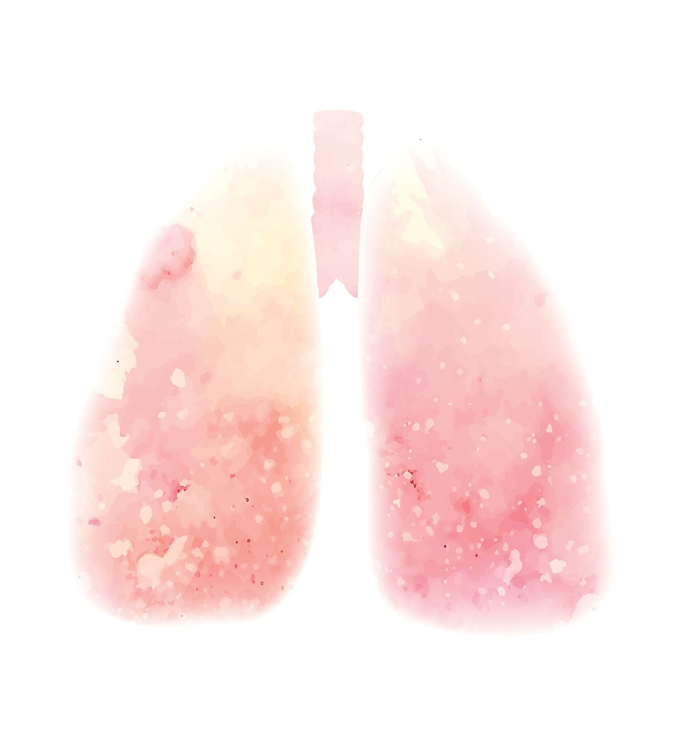Drawing of Lungs