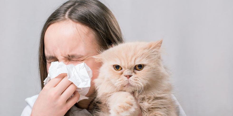 Pet Allergies