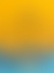 Colorado Landlord-Tenant Law Webinar