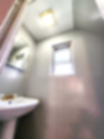 Bathroom Painting Project - LC General Restoration LLC