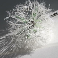 майстер-клас з шовкової флористики в техніці Tanjobana .jpg