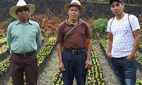 cafeimportsguatemalaatitlan-1.jpg