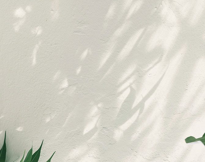 pawel-czerwinski-qzaIDFtzcZ0-unsplash_ed