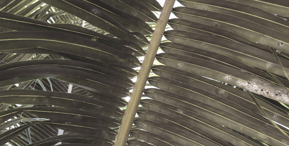 filtergrade-pAw0Bsr7MJk-unsplash copy_ed