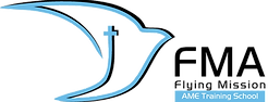FM-AMETS transparent.png