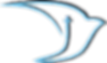 oie_transparent (2).png