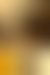 The Noble Griffin Palette
