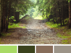 Pine Forest Color Palette
