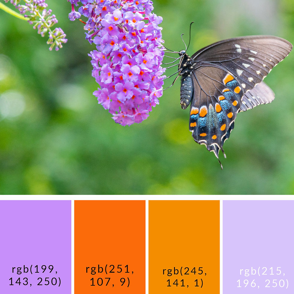 Vibrant and Serene Butterfly Bush - Color Palette