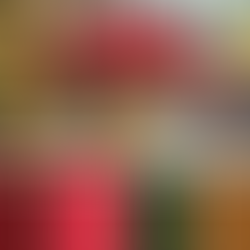 What You Didn’t Know About the Poinsettia - Palette