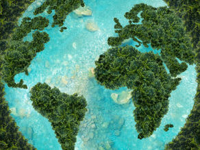 Water World Color Palette