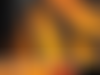 The Monarch Butterfly Color Palette
