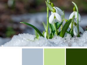 Let’s (Snow) Drop into Winter