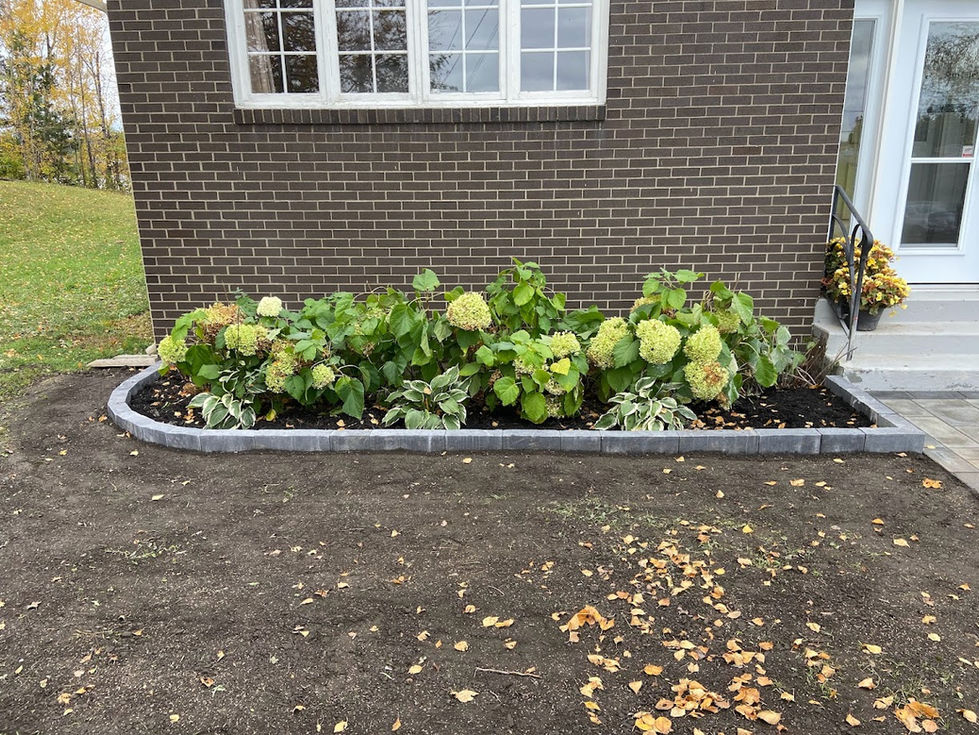 Vickie White garden wall