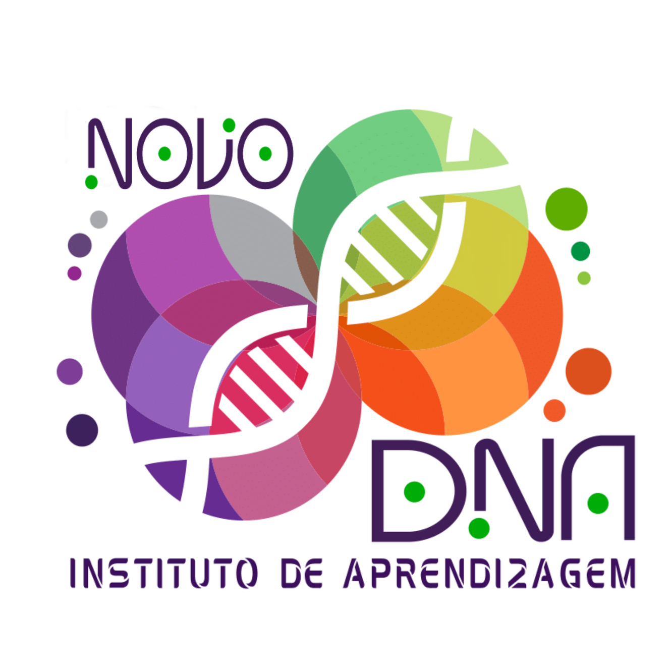 Colegio Terra Brasilis