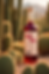 518342FE-4A02-46D8-A644-BA232700D9F7.PNG