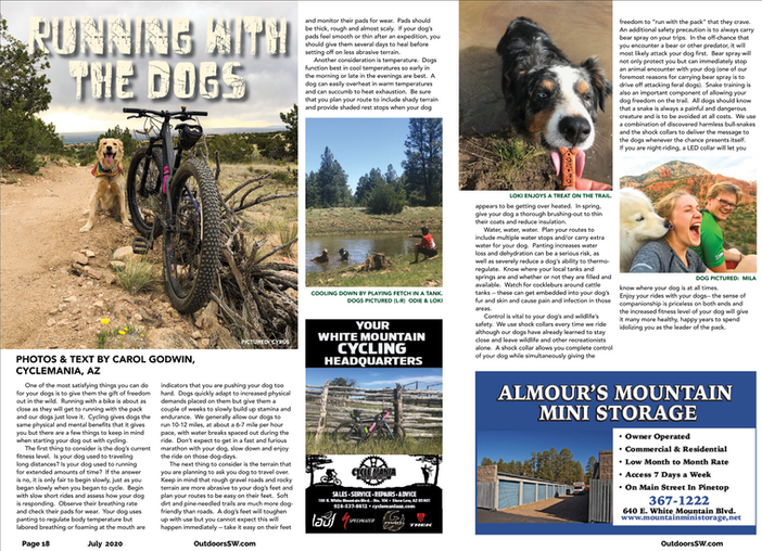 Dog's day out #dogsandbikes