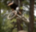 Thumbnail: Roscoe  8 gen 3 for 2025