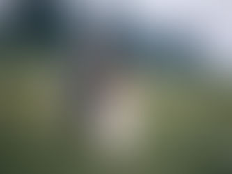 Saying "sí" in the Canadian Rockies Matt and Mill's Sunpeaks dream wedding.