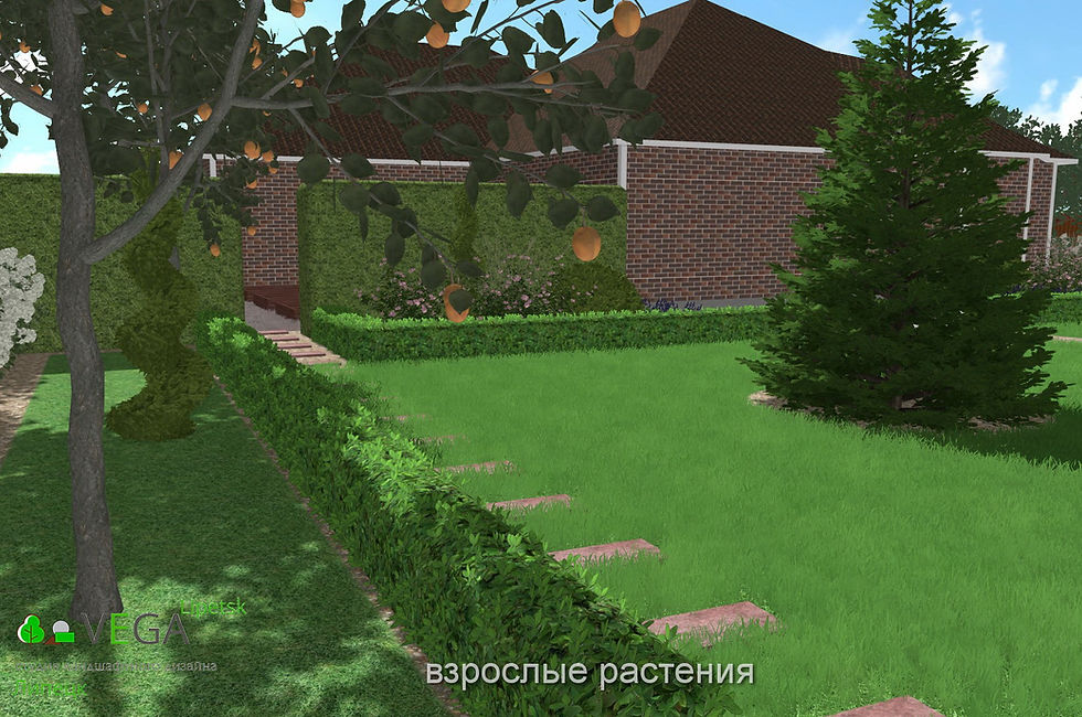 ландшафтный дизайн Vega Вега Липецк благоустройство озеленение территории