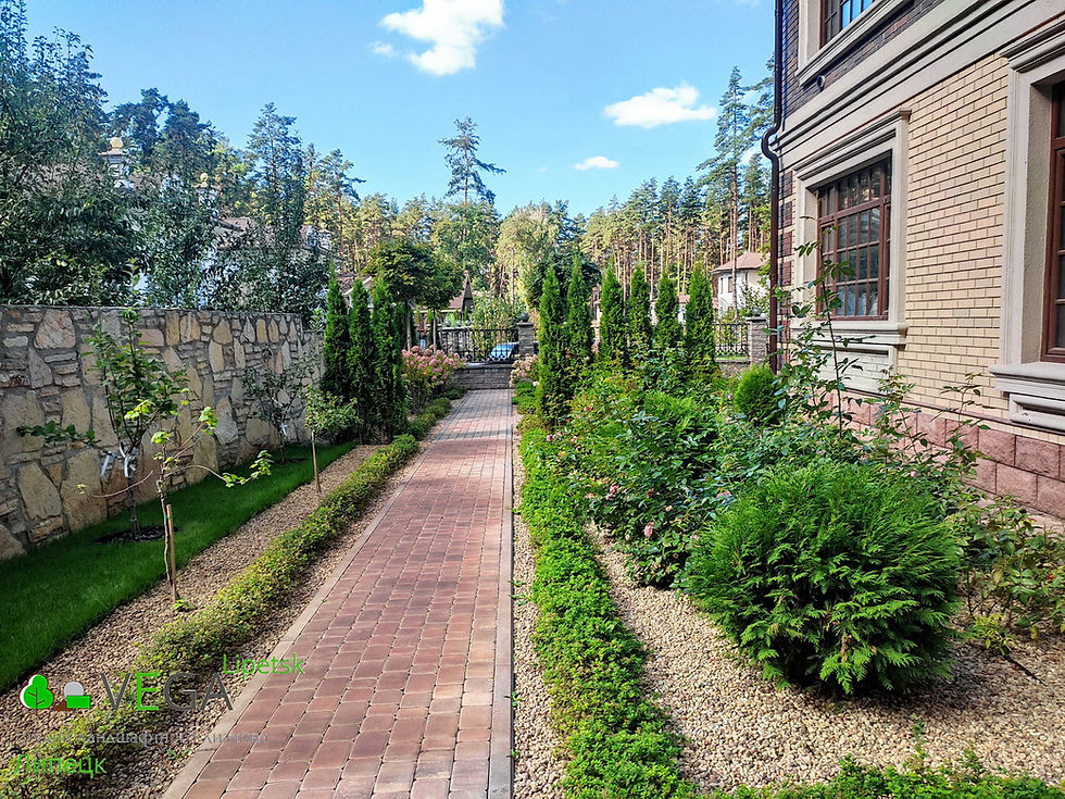 ландшафтный дизайн Vega Вега Липецк благоустройство озеленение территории