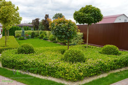 ландшафтный дизайн Vega Вега Липецк благоустройство озеленение территории