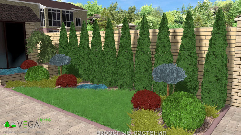 ландшафтный дизайн Vega Вега Липецк благоустройство озеленение территории 
