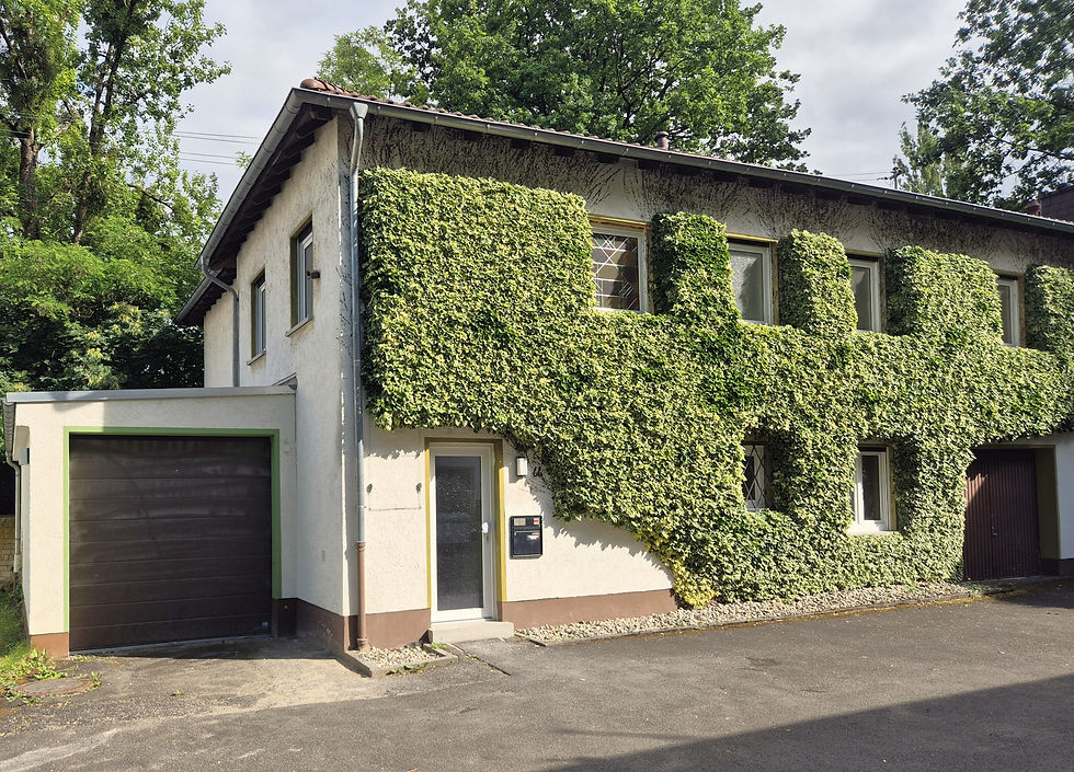 1 - Einfamilienhaus 1.1.jpg