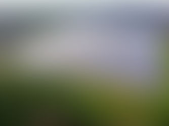 Solarenergie in den Niederlanden: Chancen und Unterschiede zum deutschen Markt