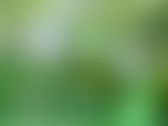 Conversas na Tapada / Inscrições abertas