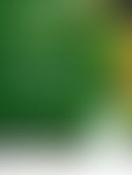 Conversas na Tapada 4ºedição